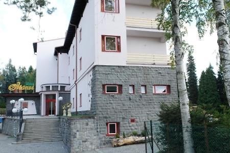 Hotel Manes Svratka Exterior foto